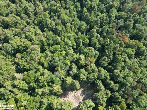 LOT 31 & 33 CONCESSION 7 Concession 7 Road, Mcmurrich/Monteith, ON, P0A1Y0 | Card Image