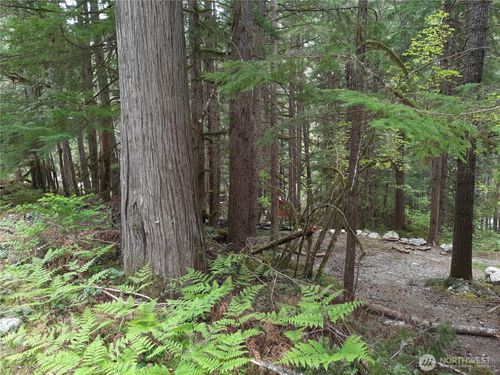 0 Cascade River Road, Marblemount, WA, 98263 | Card Image
