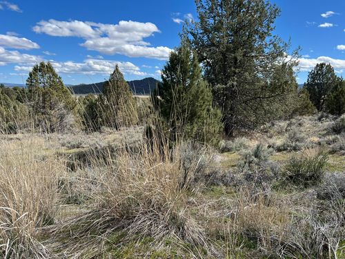 0 Shasta St, Chiloquin, OR, 97624 | Card Image