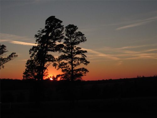 10222 Us Highway 271 N, Gilmer, TX, 75644-6405 | Card Image