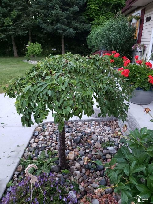 33790 Steadman Rd, New Boston, MI, 48164-9726 | Card Image