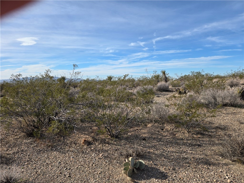 Land in Dolan Springs 4