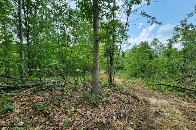 TRACT-3 - 0 Back Run Rd, Home with 0 bedrooms, 0 bathrooms and null parking in Philo OH | Image 22