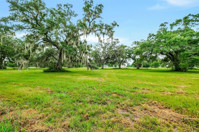 Abundant wildlife in this protected community | Image 4