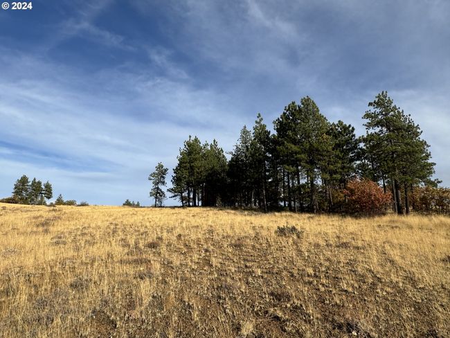 0 Jensen Quarry Rd, Home with 0 bedrooms, 0 bathrooms and null parking in Bickleton WA | Image 28