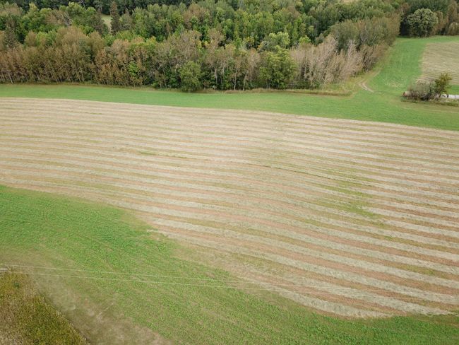 DJI_0111.JPG | Image 16