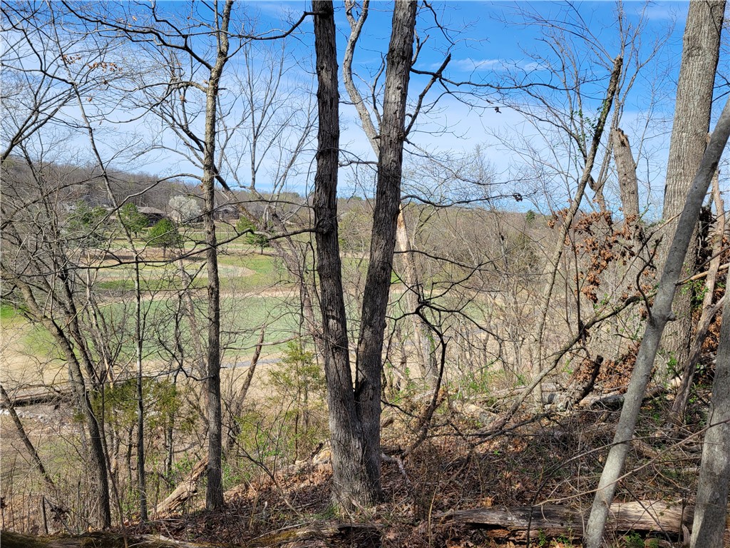 Land in Bella Vista 2