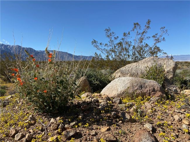 330 Sage Flats Dr, House other with 3 bedrooms, 2 bathrooms and 2 parking in Olancha CA | Image 52