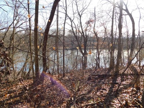 Lot 7 N 4009th Rd, Serena, IL, 60549 | Card Image