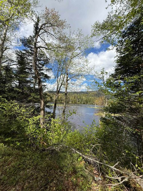 0 Old County Rd, Errol, NH, 03579 | Card Image