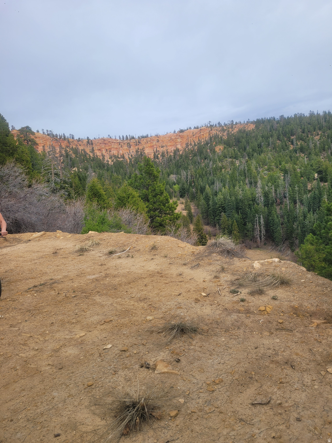 Land in Duck Creek Village 5