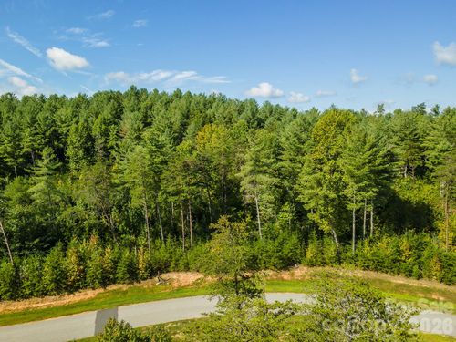 254 Peninsula Reserve Rd, Nebo, NC, 28761-0422 | Card Image