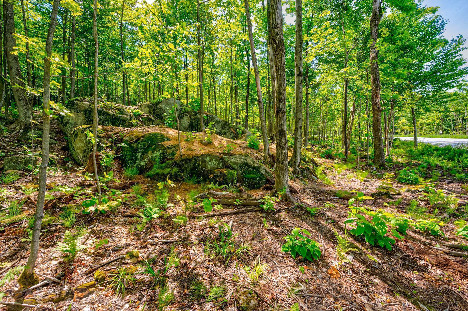 Land in Eastman 5