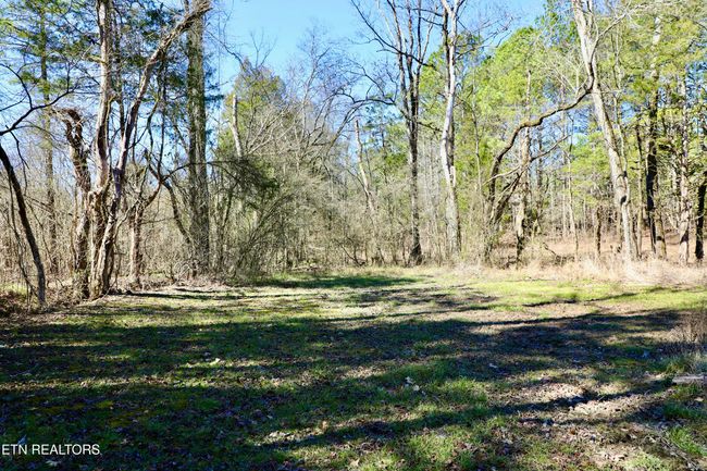 346 Chestuee Rd, House other with 3 bedrooms, 1 bathrooms and null parking in Calhoun TN | Image 20