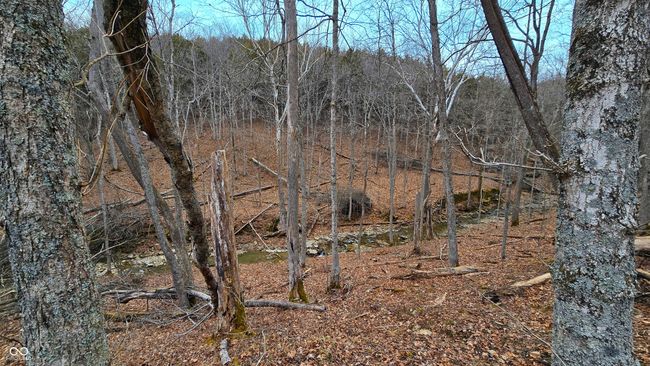 5900 S County Road 700 E, Home with 0 bedrooms, 0 bathrooms and null parking in Dillsboro IN | Image 55