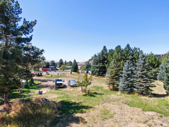 View of yard | Image 15