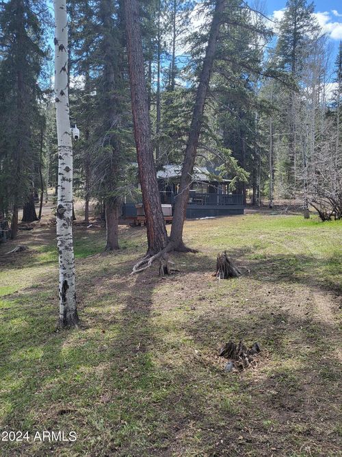 6-6 County Road 1007 --, Greer, AZ, 85927 | Card Image