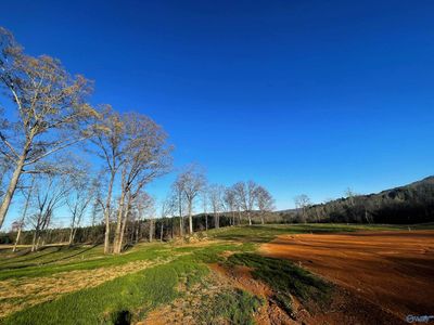 LOT-30 - Lot 30 Thompson Road, Home with 0 bedrooms, 0 bathrooms and null parking in Altoona AL | Image 2