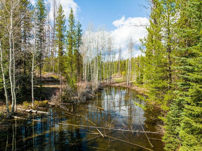 Pond in April 2022 | Image 34