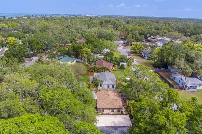 1536 Alamo Ln, House other with 3 bedrooms, 2 bathrooms and null parking in DUNEDIN FL | Image 56