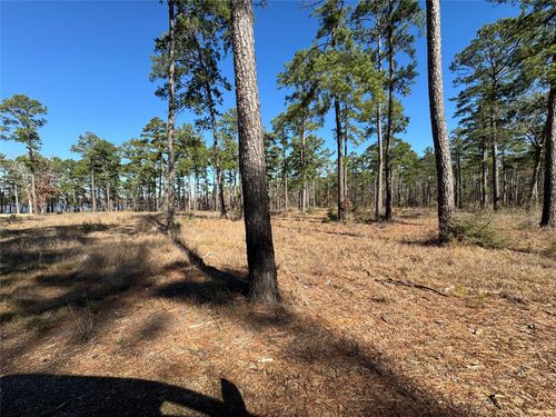 TBD28 Private Road 6028, Brookeland, TX, 75931 | Card Image
