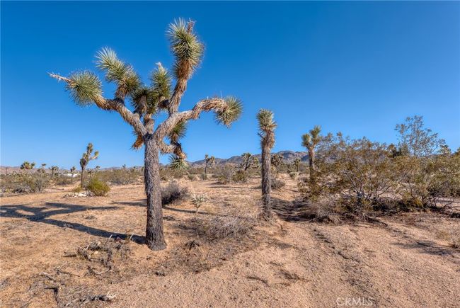 107 Juniper Rd, Home with 0 bedrooms, 0 bathrooms and null parking in Joshua Tree CA | Image 11