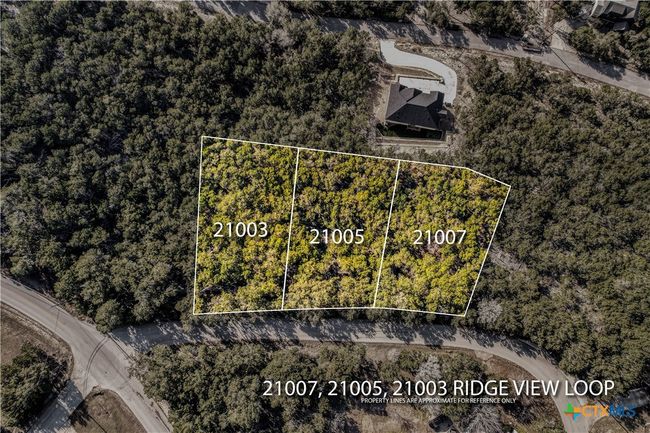 21005 Ridgeview Loop, Home with 0 bedrooms, 0 bathrooms and null parking in Lago Vista TX | Image 6