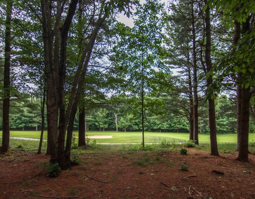 0000-Unit 40 Trailside Drive, Weldon Township, MI, 49683 | Card Image