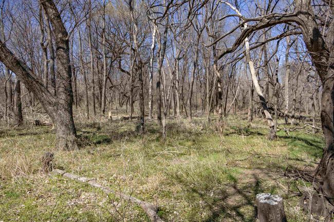 View of landscape with a wooded view | Image 28