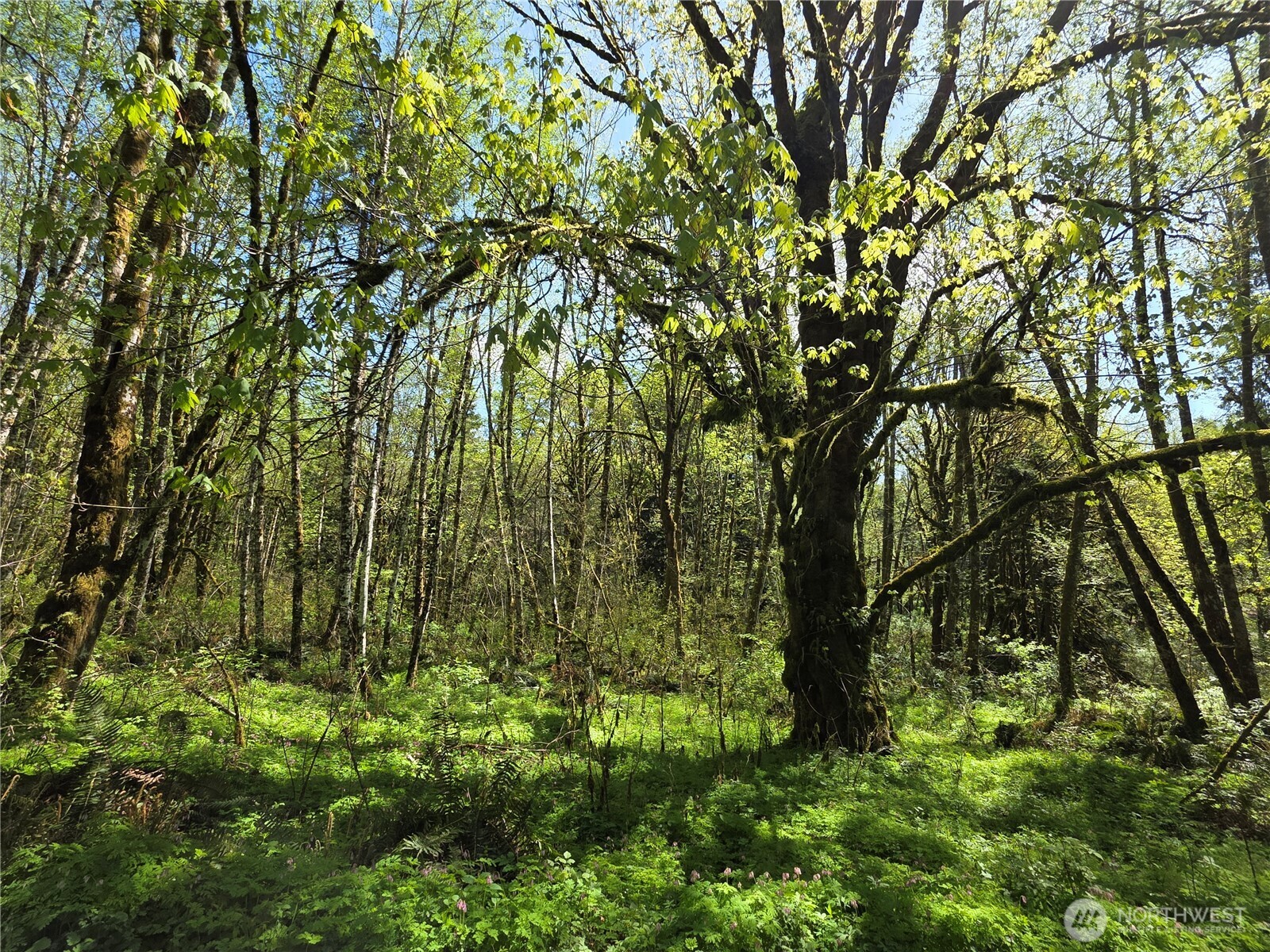 Land in Longview