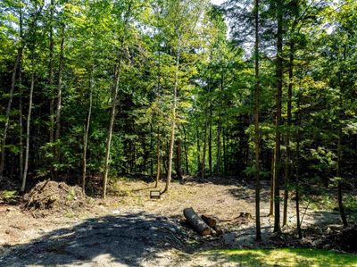 LOT-12 - 00 Arbor Lane, Home with 0 bedrooms, 0 bathrooms and null parking in Duxbury VT | Image 2