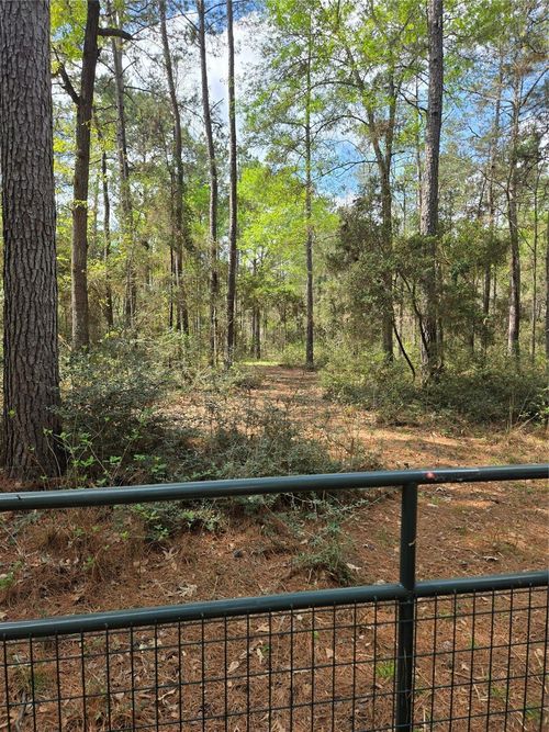 TBA Sanctuary Rd, Huntsville, TX, 77340 | Card Image