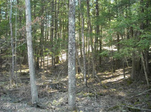 l-8.111 Carpenter Rd, Johnsonville, NY, 12094 | Card Image