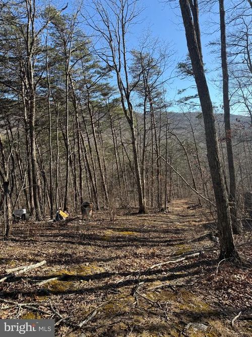 LOT 55 Moreland Gap Rd, NEW MARKET, VA, 22844 | Card Image