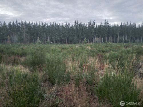 28590 Se Kent Kangley Rd, Ravensdale, WA, 98051 | Card Image