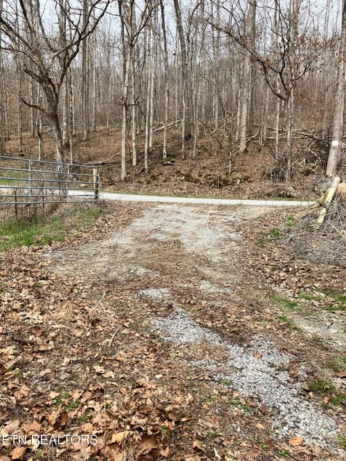 4913 Snake Hollow Rd, Sneedville, TN, 37869 | Card Image