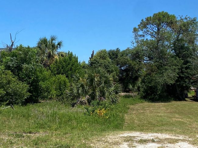 117 Atlantic St, Home with 0 bedrooms, 0 bathrooms and null parking in Port St. Joe FL | Image 15