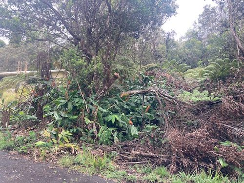 19-3950 Hoonanea St, VOLCANO, HI, 96785 | Card Image