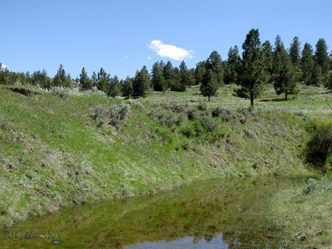 Full Seasonal Pond | Image 50