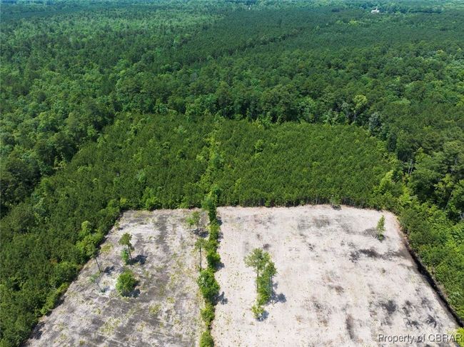 20 ac Ridge Road, Home with 0 bedrooms, 0 bathrooms and null parking in Cobbs Creek VA | Image 14