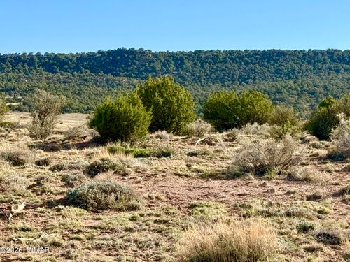 85 Co Road 8500 40 Acres, Concho, AZ, 85924 | Card Image