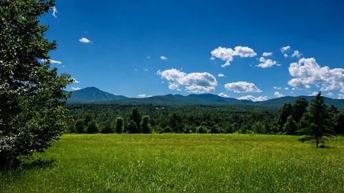 237 Loop Rd, Jay, VT, 05859 | Card Image