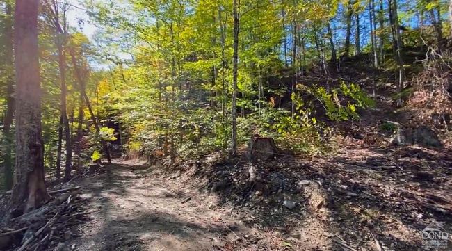 15 Gorge Rd, Home with 0 bedrooms, 0 bathrooms and null parking in Middleburgh NY | Image 10