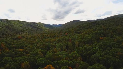 Lot 88 Nye Valley Rd, Bastian, VA, 24314 | Card Image