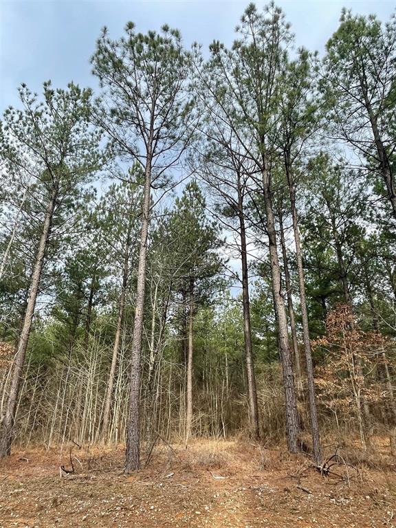 Land in Broken Bow 4