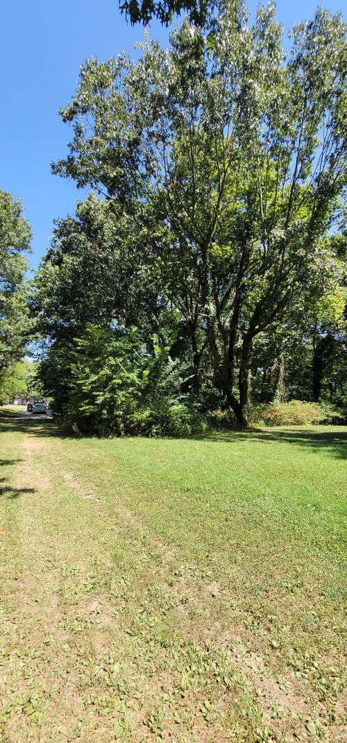 Lot# 337 S Morning Glory Lane, Battlefield, MO, 65619 | Card Image