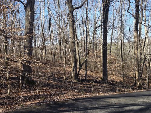 0 Westwood Dr Main St, Waverly, TN, 37185 | Card Image