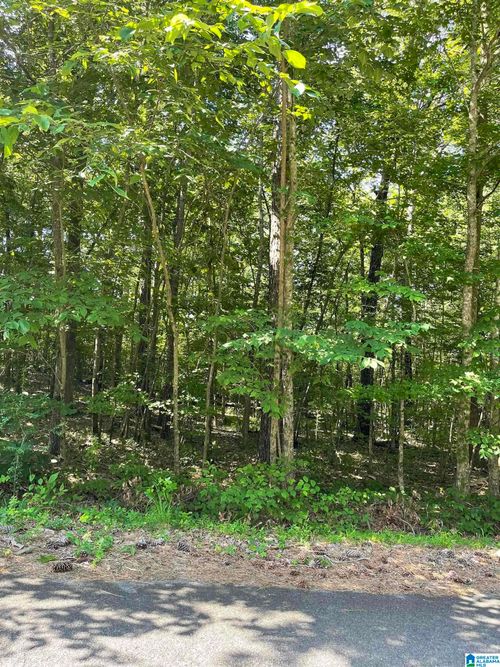 7-21-8596 Woodview Ln, PINSON, AL, 35126-2350 | Card Image