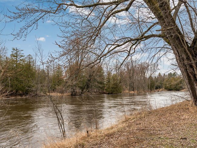 49-web-or-mls-A7406004 | Image 49