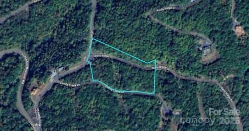 Lot 116 Owls Ridge Dr, Bostic, NC, 28018 | Card Image